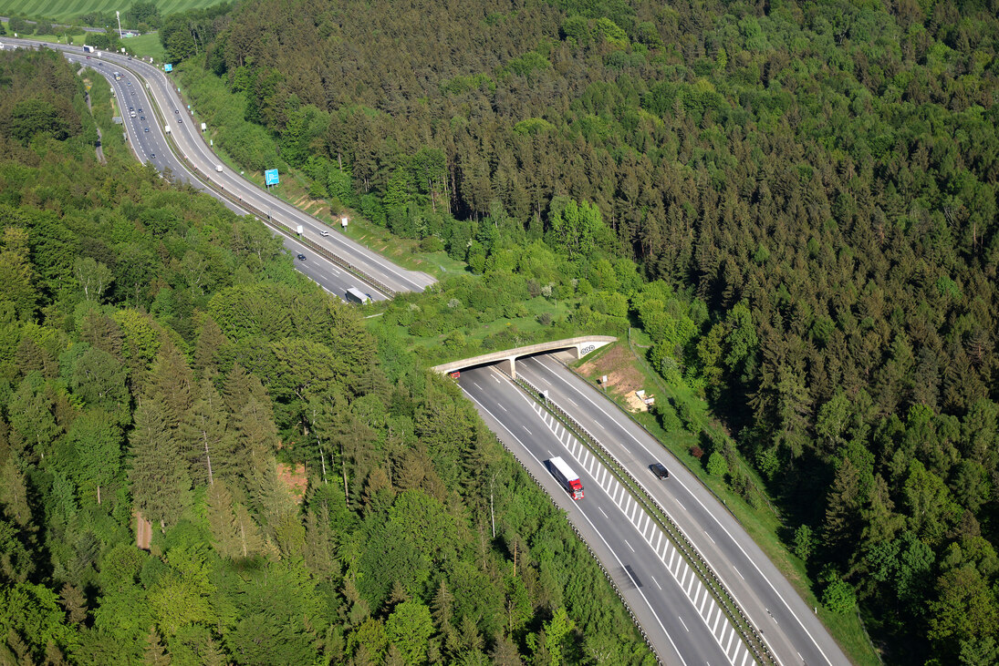 Das Bild zeigt eine sogenannte Grünbrücke über eine Autobahn, die von Wildtieren als Wanderkorridor genutzt werden kann.