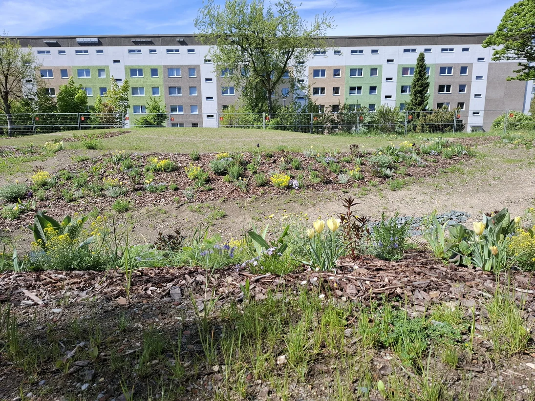 im Vordergrund ist eine bepflanzte Mulde zu sehen. Im Hintergrund ein Wohnblock.