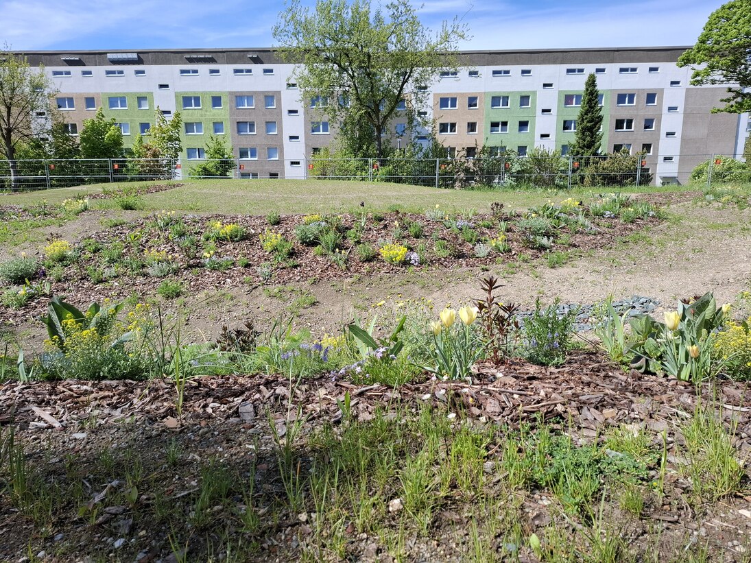 im Vordergrund ist eine bepflanzte Mulde zu sehen. Im Hintergrund ein Wohnblock.