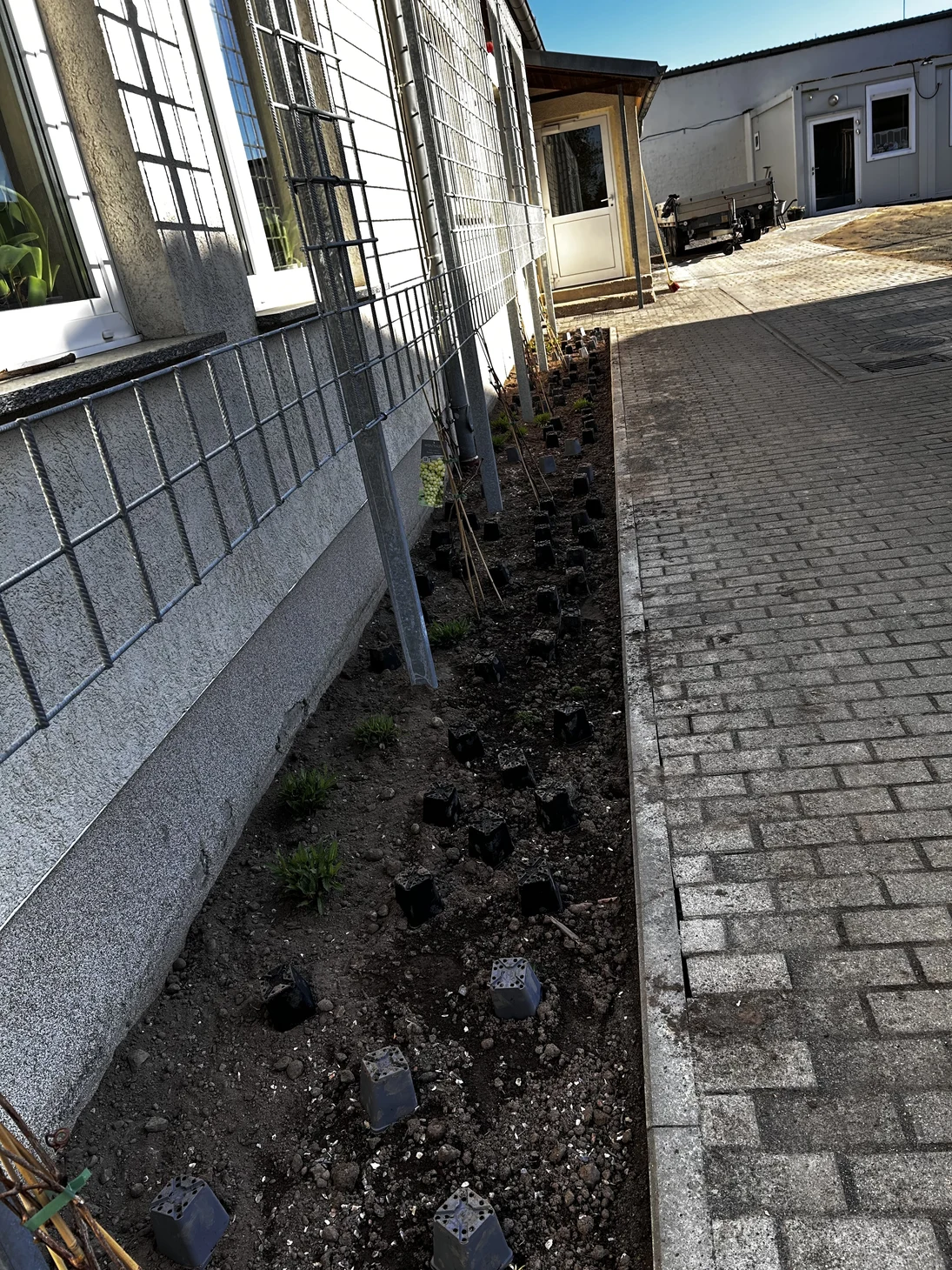 Nahaufnahme Rankgitter und Bepflanzung