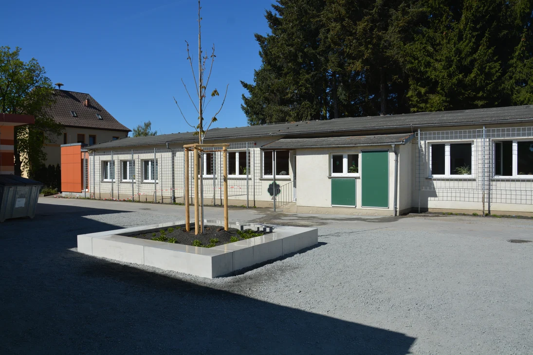 fertiiggestellter Schulhof. im Vordergrund ein frischgepflanzter Baum. Im Hintergrund das Schulgebäude mit Rankgittern versehen.