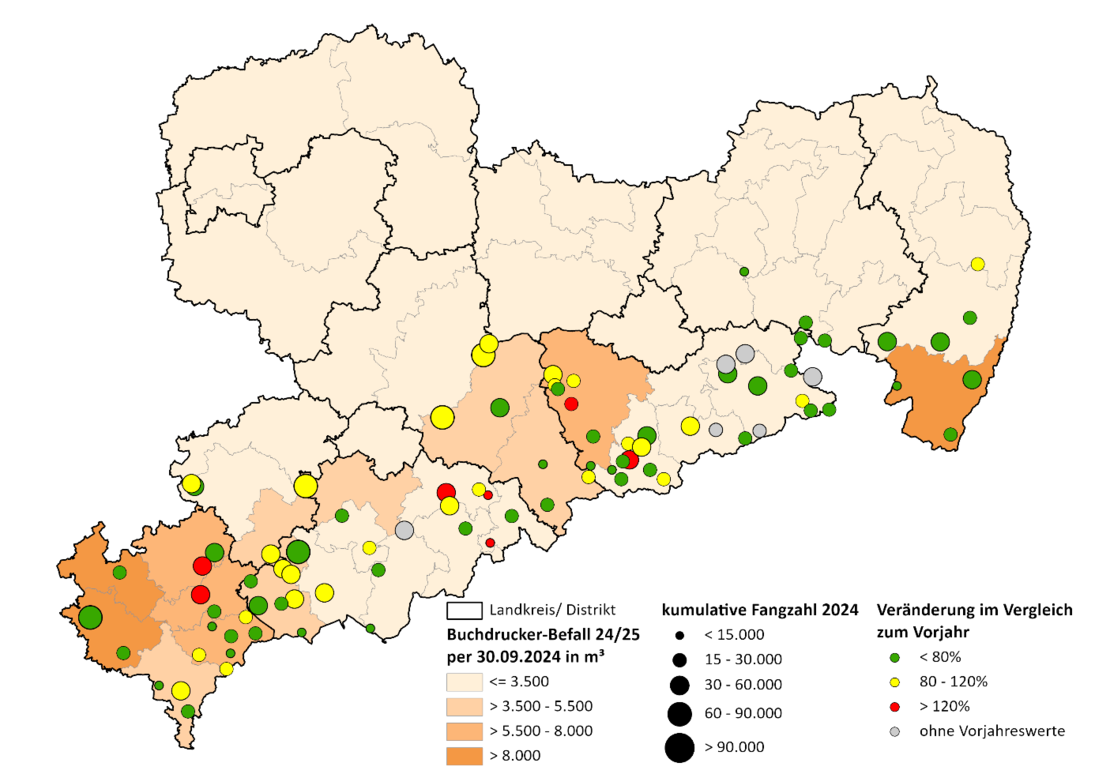Sachsenkarte mit regional farblich gekennzeichneter kumulativer Fangzahl von Fichtenbuchdruckern. Schwerpunkt Erzgebirgsregion.