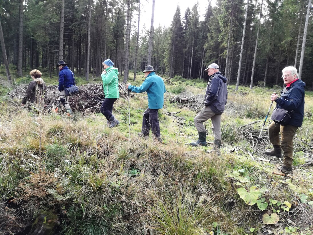 Bild einer Wandergruppe, die sich durch das Projektgebiet Stengelhaide führen lassen