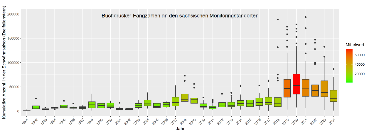 Ein Balkendiagramm zur Darstellung der gefangenen Buchdrucker im Waldschutzmonitoring seit 1991 bis 2024