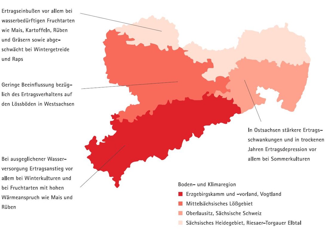 Entwicklung der landwirtschaftlichen Erträge in Sachsen.
