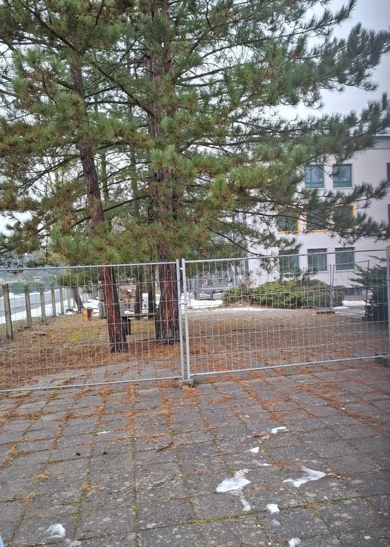 Teilfläche eines Schulhofs. Versiegelt mit Betonplatten. Dazwischen wachsen Nadelbäume. Gelände ist mit Bauzäunen umschlossen.