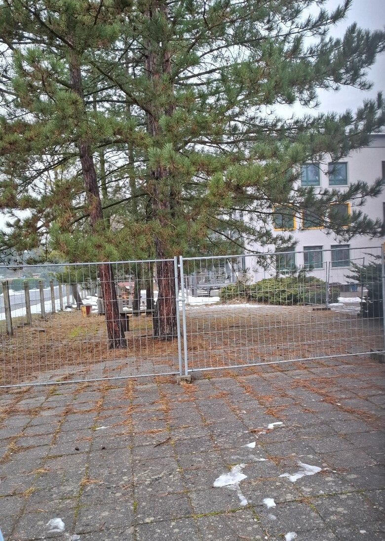 Teilfläche eines Schulhofs. Versiegelt mit Betonplatten. Dazwischen wachsen Nadelbäume. Gelände ist mit Bauzäunen umschlossen.