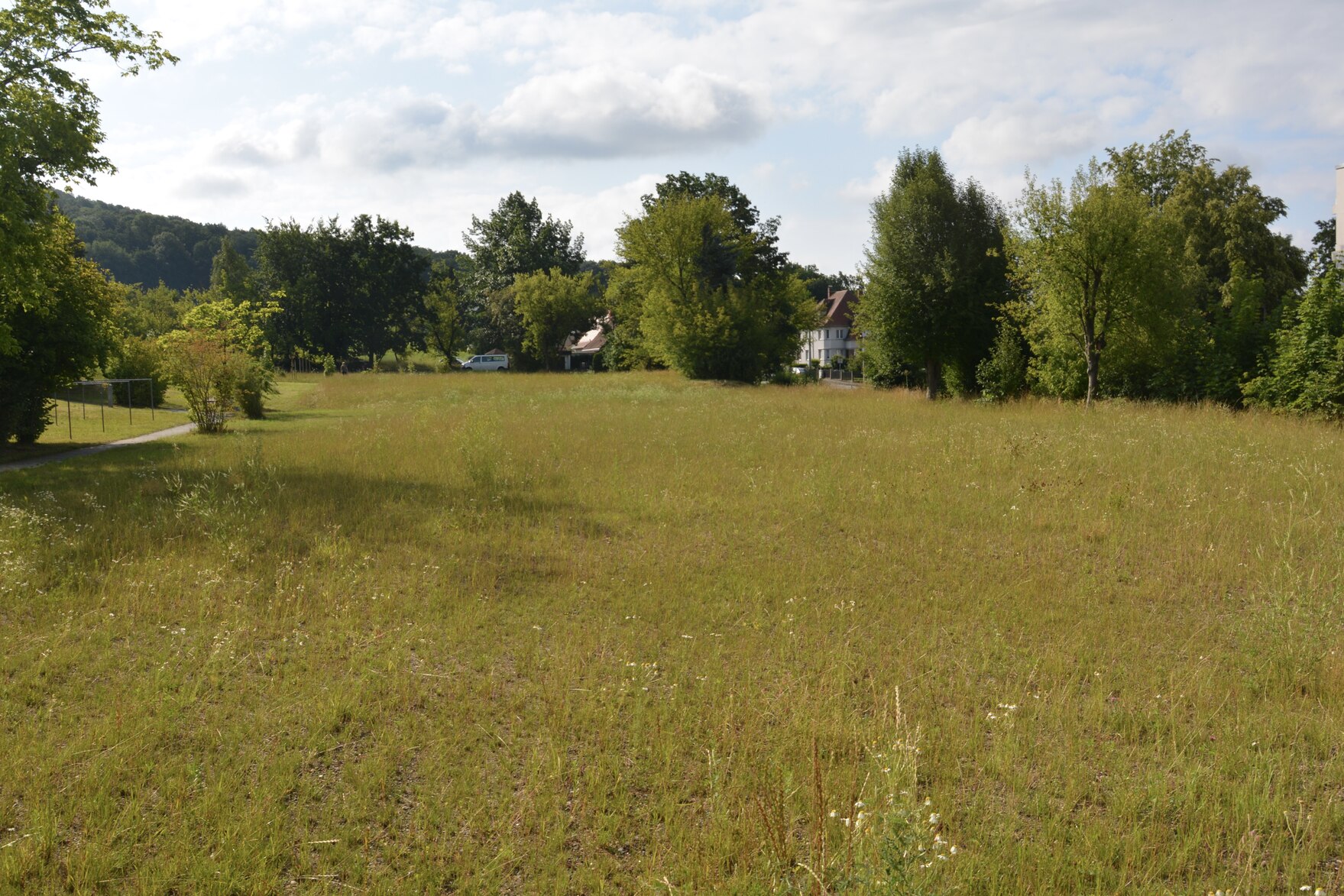 Foto zeigt eine große Fläche mit grüner Wiese; weiter hinten sind von links nach rechts einzelne Bäume und Sträucher verteilt, zwei Häuser sieht man durch. links am Rand geht ein Weg am Grundstück vorbei