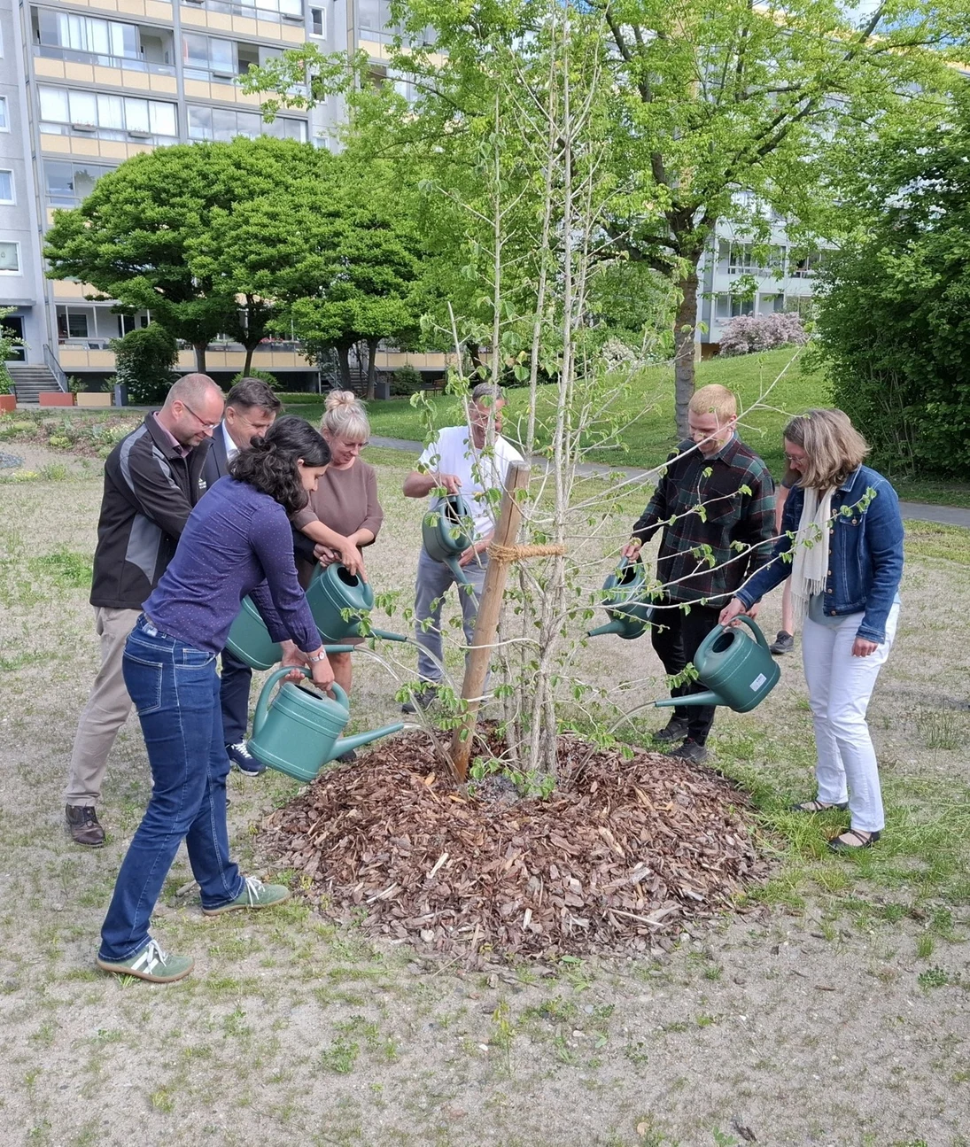 7 Menschen mit einer Gießkanne gießen gleichzeitig einen Baum