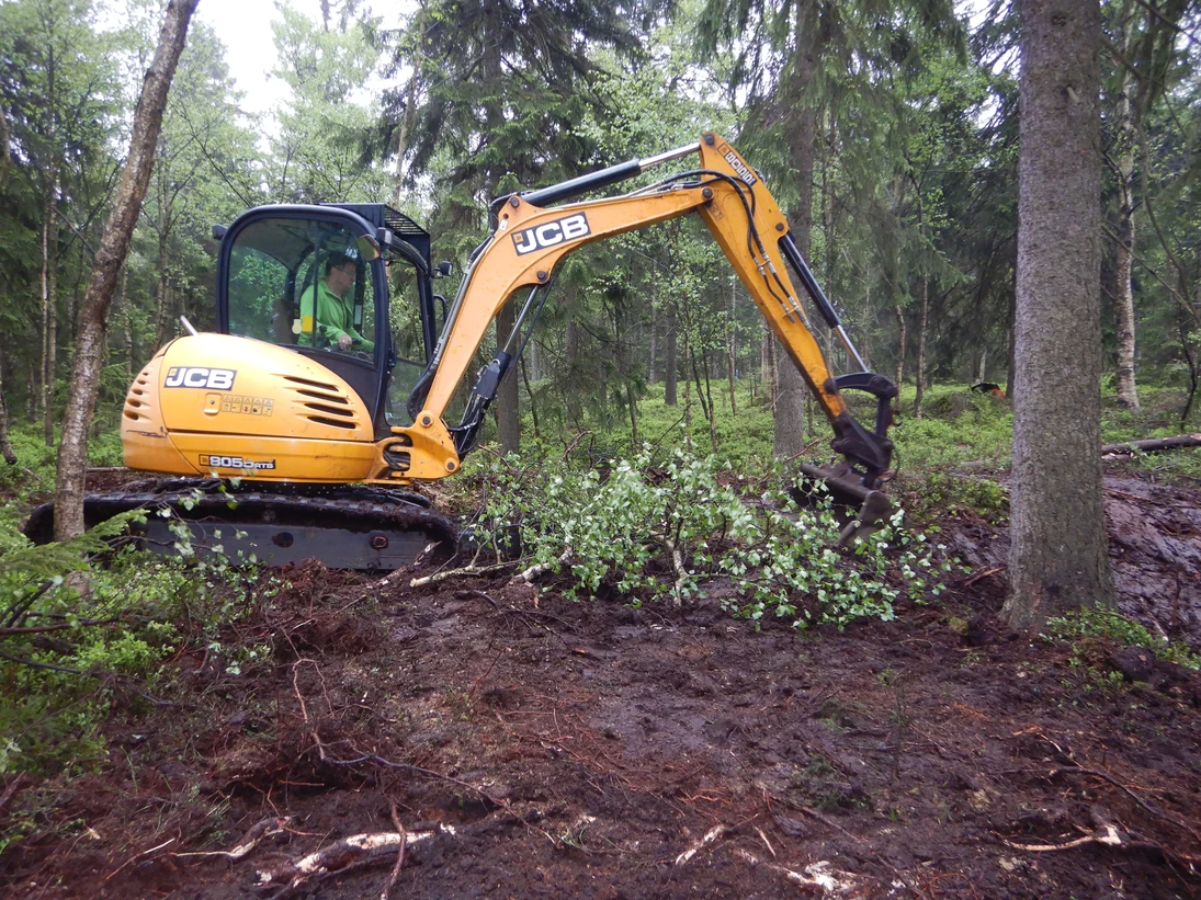 Bagger verschließt Entwässerungsgraben in einem Moor