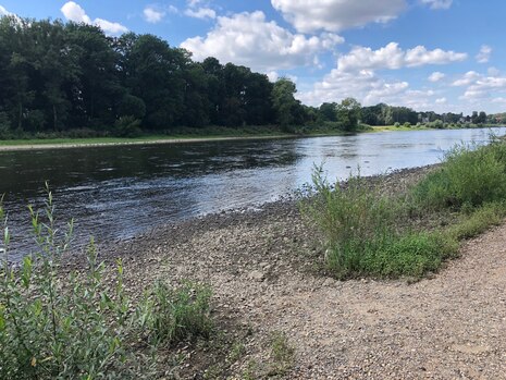 Niedrigwasser an der Elbe