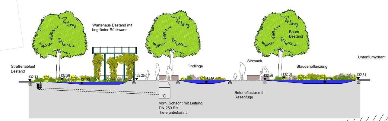 Zu sehen ist ein grafischer Querschnitt mit drei Bäumen, einem begrünten Buswartehäuschen, Sitzbänken und Versickerungsmulden die Wasser führen. Die Bäume werden von den Versickerungsmulden getrennt. Die Versickerungsmulden sind mit Stauden bepflanzt und