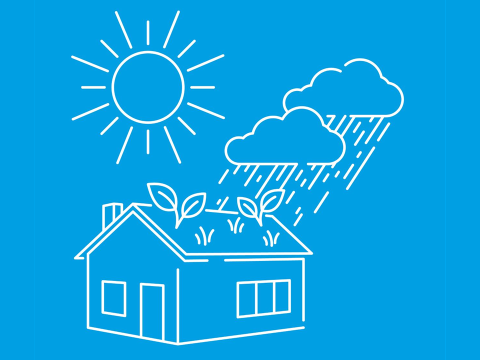 Icons einer Sonne links oben, zweier Starkregenwolken rechts oben (Regen), darunter ein Haus (Ansicht auf Kante) mit begrüntem Dach auf dem mit Blättern und Gräsern Pflanzen angedeutet sind, Fenster und Tür