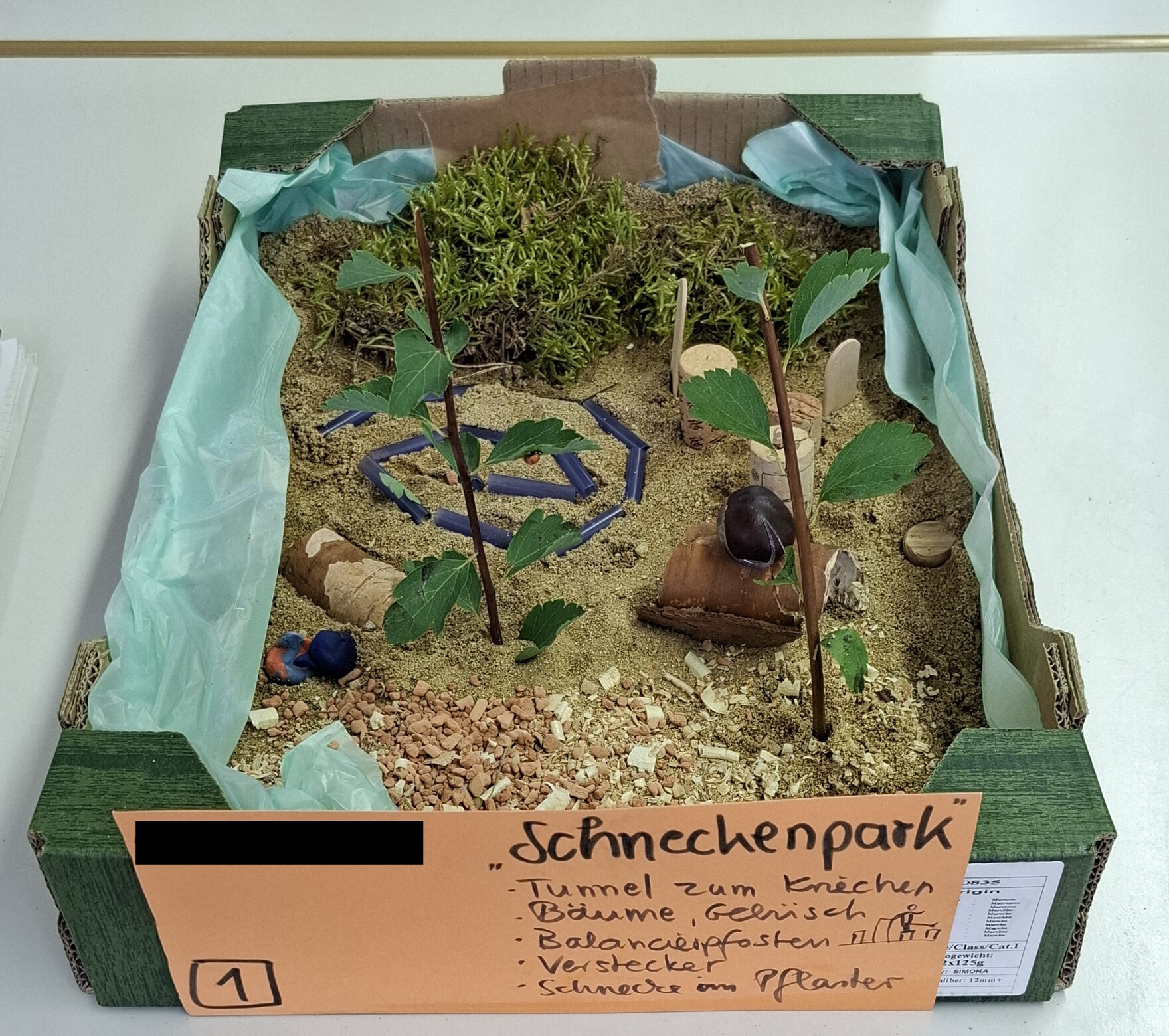 Eine Pappkiste gefüllt mit Sand und Spähne; darin Moos, Zweige und kleine Gegenstände wie Korken, ein Schlauch und Holzstiele gesteckt; angeordnet als Modell für die Schulhofgestaltung; beschriftet mit "Schneckenpark"