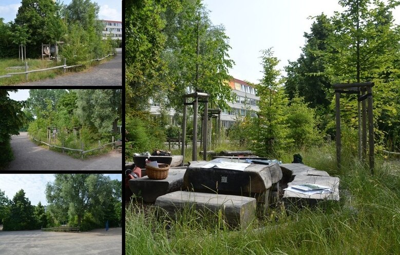 verschiedene Ansichten eines Schulhofwaldes auf einem Schulgelände. Es sind viele Bäume zu sehen.