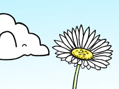Gänseblümchen und Wolke als Teaser für die Materialien