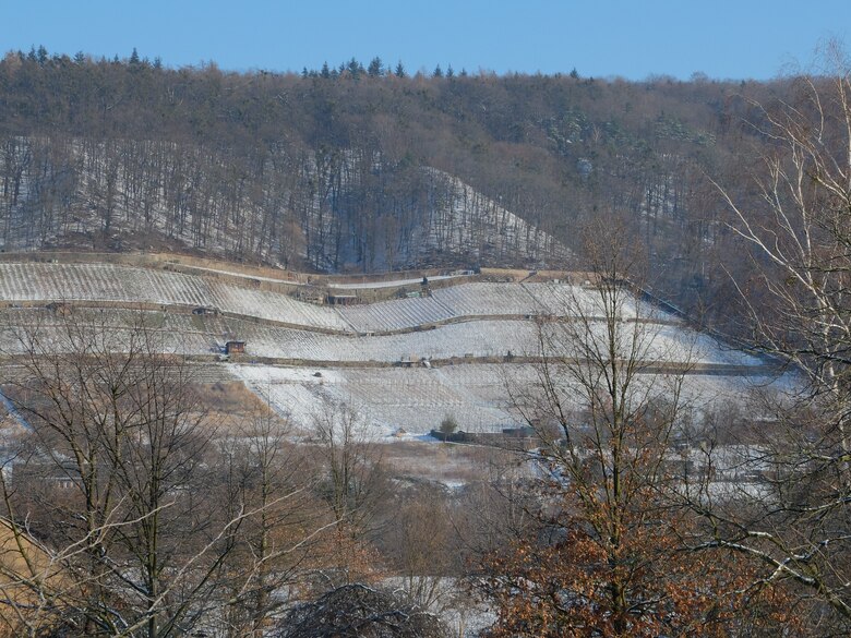 Panoramaaufnahme von Weinbergen mit leichter Schneedecke.