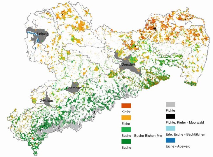 Wald und Forstwirtschaft - Klima - sachsen.de