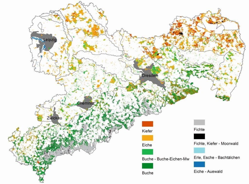 Karte der Zielzustände des Waldumbaus in Sachsen.