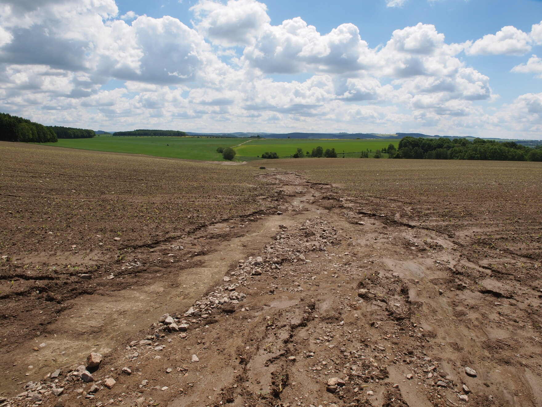 Foto zeigt ein Feld mit brauner Erde, welche durch Starkenregen stark weggeschwemmt wurde in einer Rinne (Erosion)