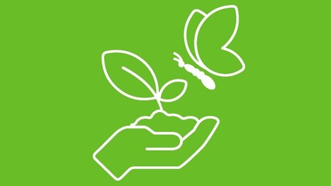 Piktogramm mit weißen Linien auf hellgrünem Hintergrund: eine Hand hält ein Häufchen Erde mit einem Setzling (zwei Blätter) darin, darüber schwebt ein Schmetterling