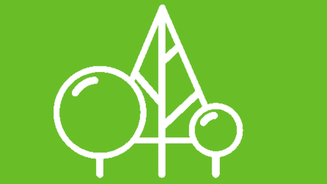 Piktogramm mit weißen Linien auf grünem Hintergrund zeigt mit Kugel- und Dreiecksform vereinfacht drei Bäume: großer Laubbaum, kleiner Laubbaum und Nadelbaum