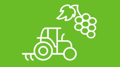 Piktogramm mit weißen Linien auf grünem Hintergrund: Traktor und Weintrauben