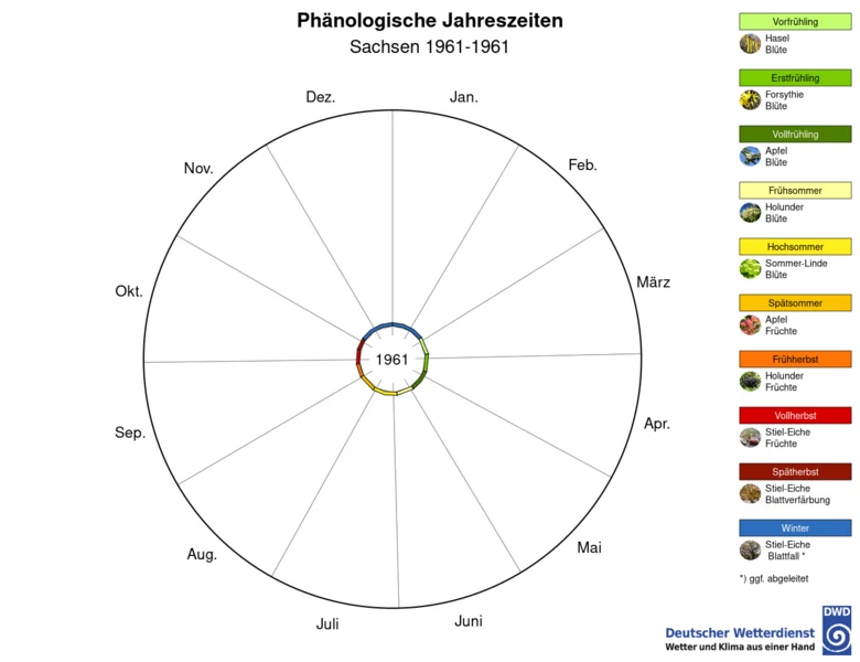 Das Bild zeigt aufeinander aufbauende Kreisdiagramme. Einzelne Abschnitte entsprechen den Jahreszeiten und sind farblich unterteilt. Winter blau, Frühling grün, Sommer rot, Herbst gelb. Pflanzennamen rechts sind den Jahreszeiten zugeordnet.